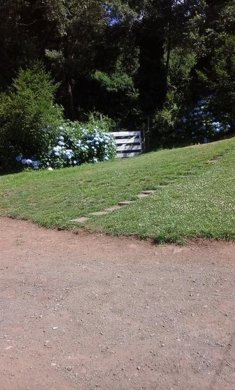 Bosque Del Lago Pucón Esterno foto